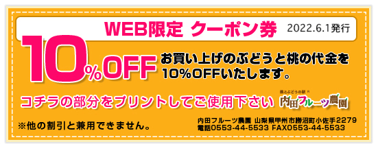 WEB限定　クーポン券 10%OFF