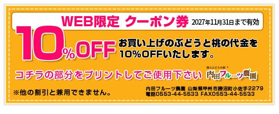 WEB限定　クーポン券 10%OFF